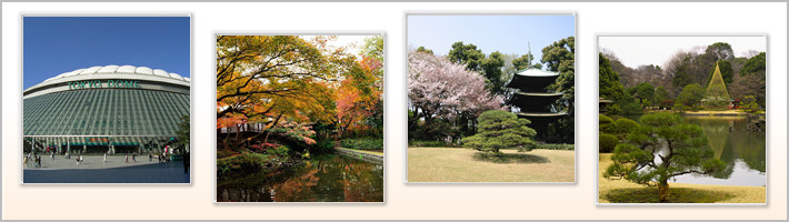文京区の地勢の写真