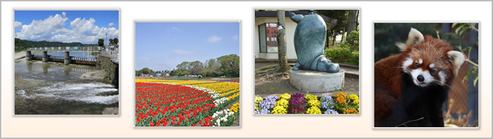 羽村市の地勢の写真