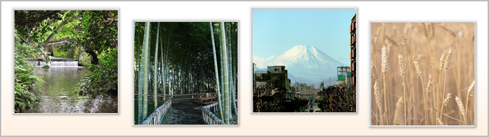 東久留米市の地勢の写真
