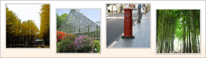 小平市の地勢の写真