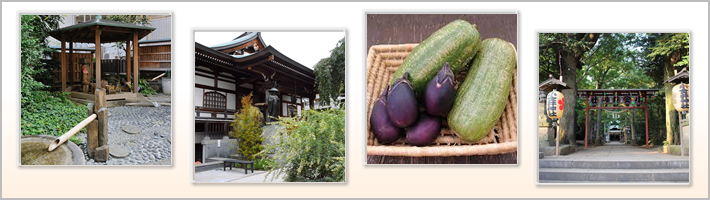 小金井市の歴史の写真