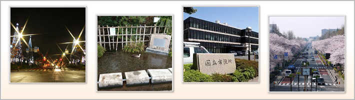 国立市の地勢の写真