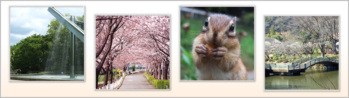 町田市の地勢の写真