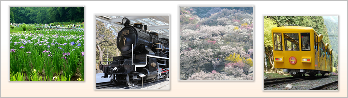青梅市の地勢の写真