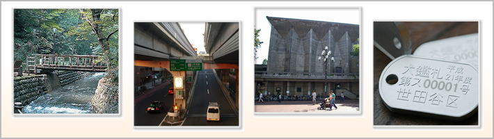 世田谷区の地勢の写真
