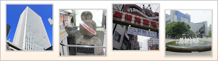 豊島区の地勢の写真